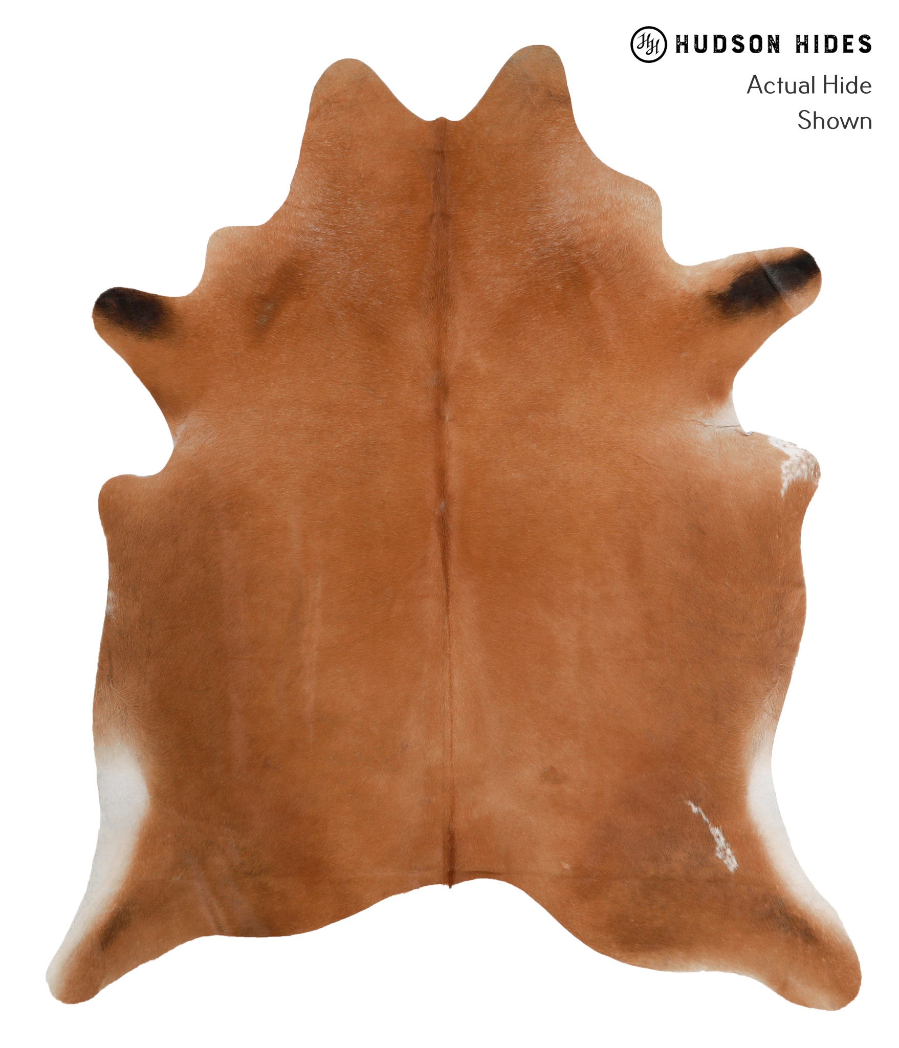 Solid Brown Cowhide Rug #81554