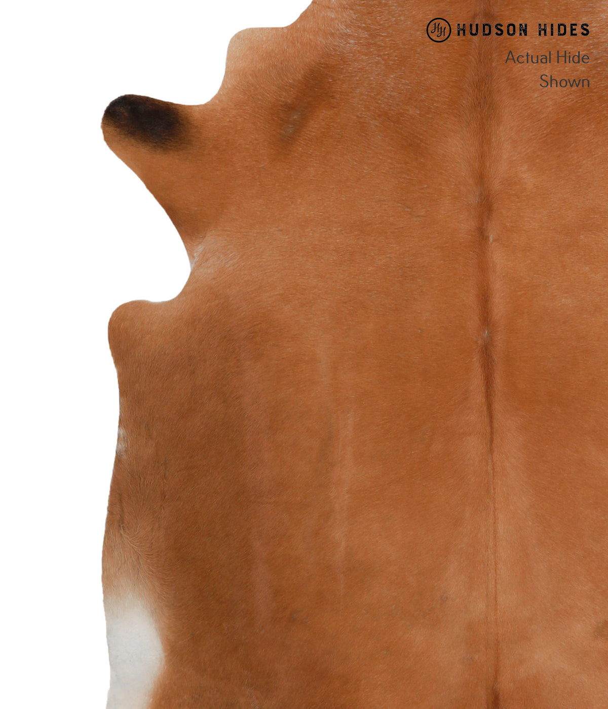 Solid Brown Cowhide Rug #81554