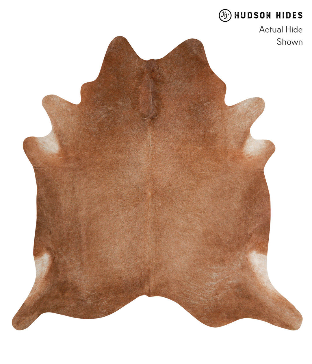 Solid Brown X-Large Brazilian Cowhide Rug 6'10"H x 6'8"W #81561 by Hud