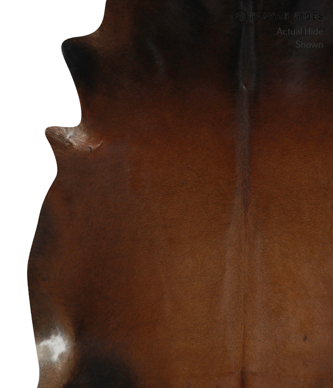 Chocolate XX-Large Brazilian Cowhide Rug 7'5"H x 6'9"W #81675 by Hudso