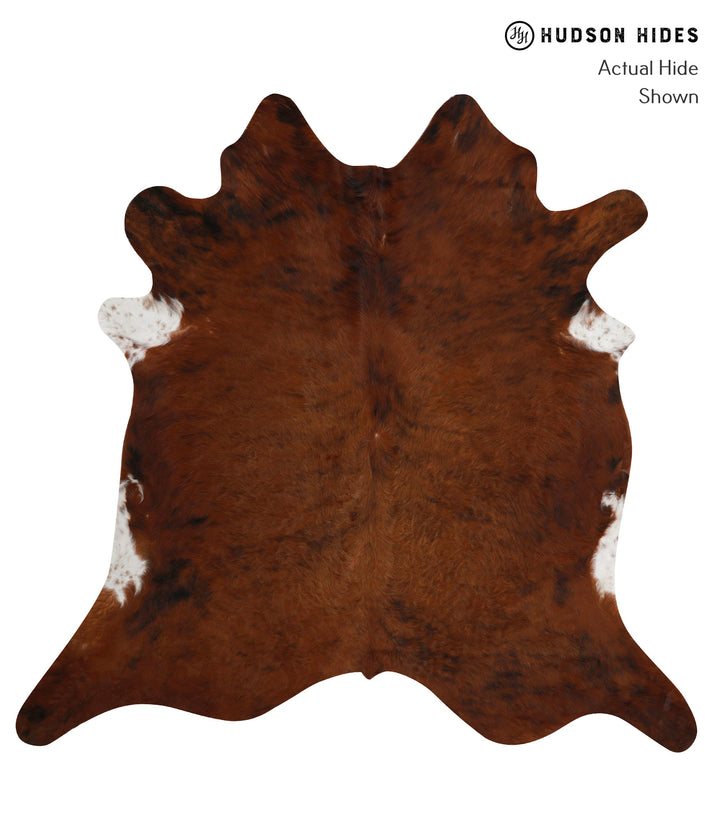 Medium Brindle XX-Large Brazilian Cowhide Rug 7'6"H x 7'7"W #81800 by Hudson Hides