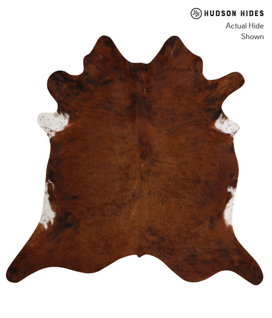 Medium Brindle XX-Large Brazilian Cowhide Rug 7'6"H x 7'7"W #81800 by Hudson Hides