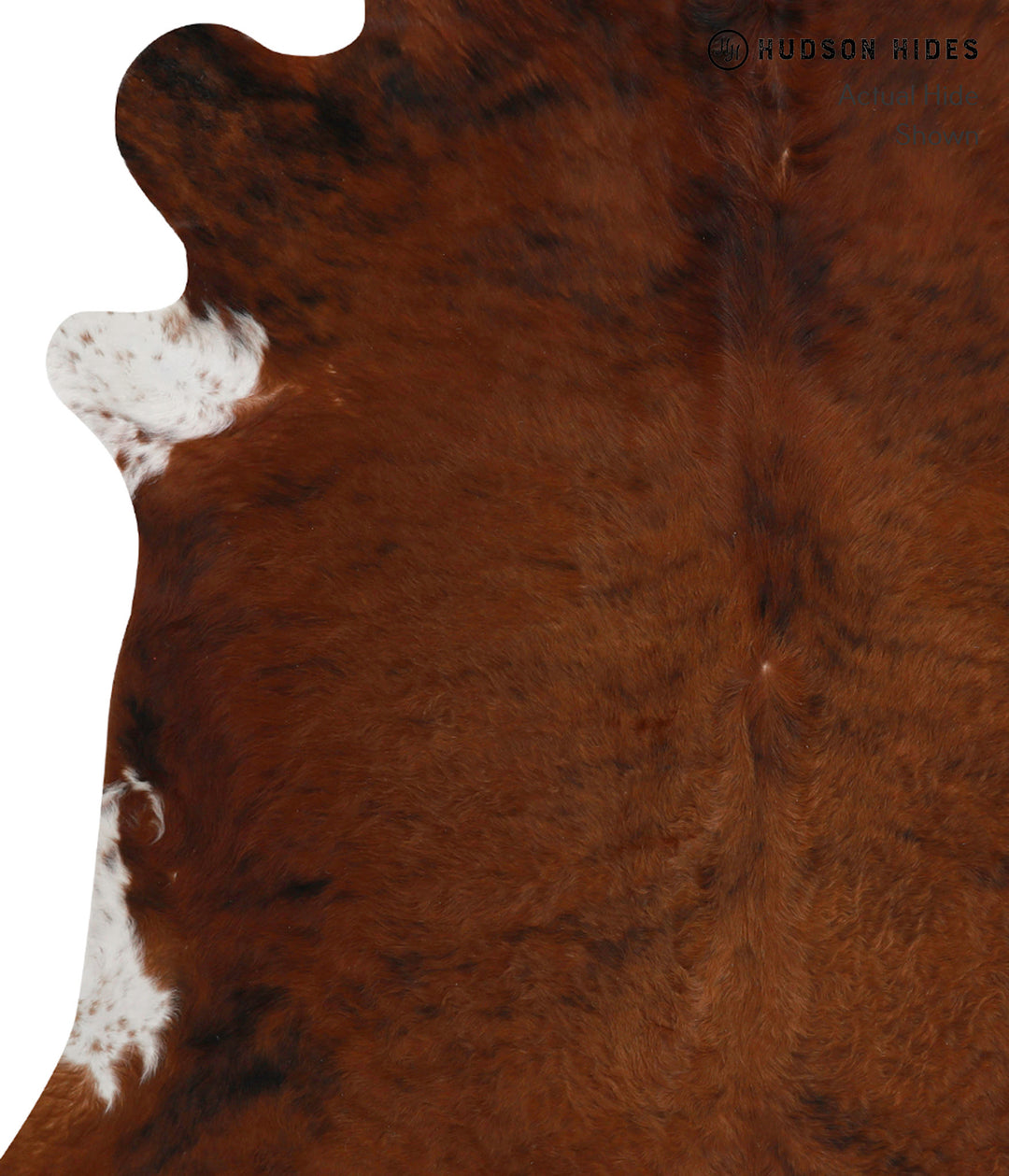Medium Brindle XX-Large Brazilian Cowhide Rug 7'6"H x 7'7"W #81800 by 