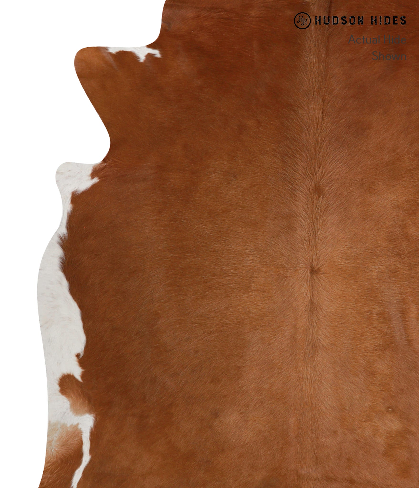 Brown and White Regular Cowhide Rug #81813