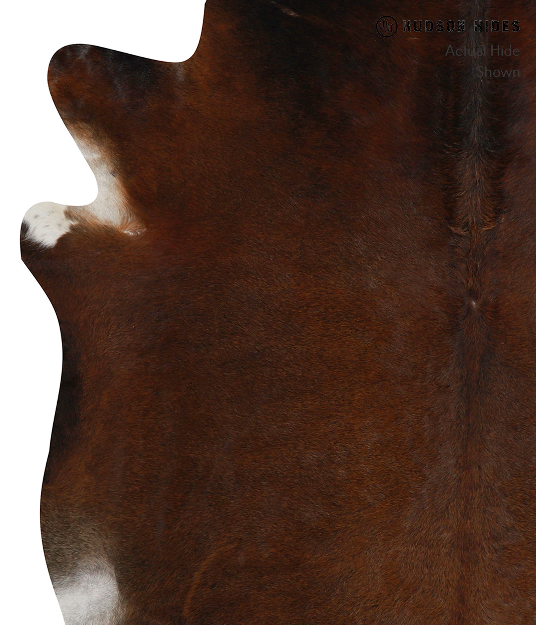 Chocolate Cowhide Rug #81814