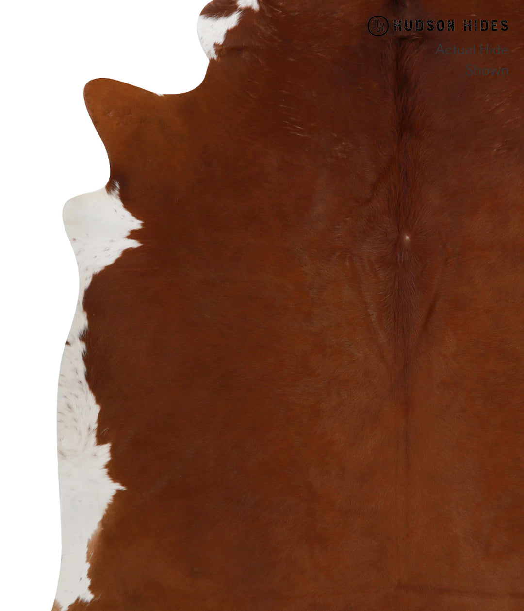 Solid Brown XX-Large Brazilian Cowhide Rug 7'5"H x 7'3"W #81816 by Hud