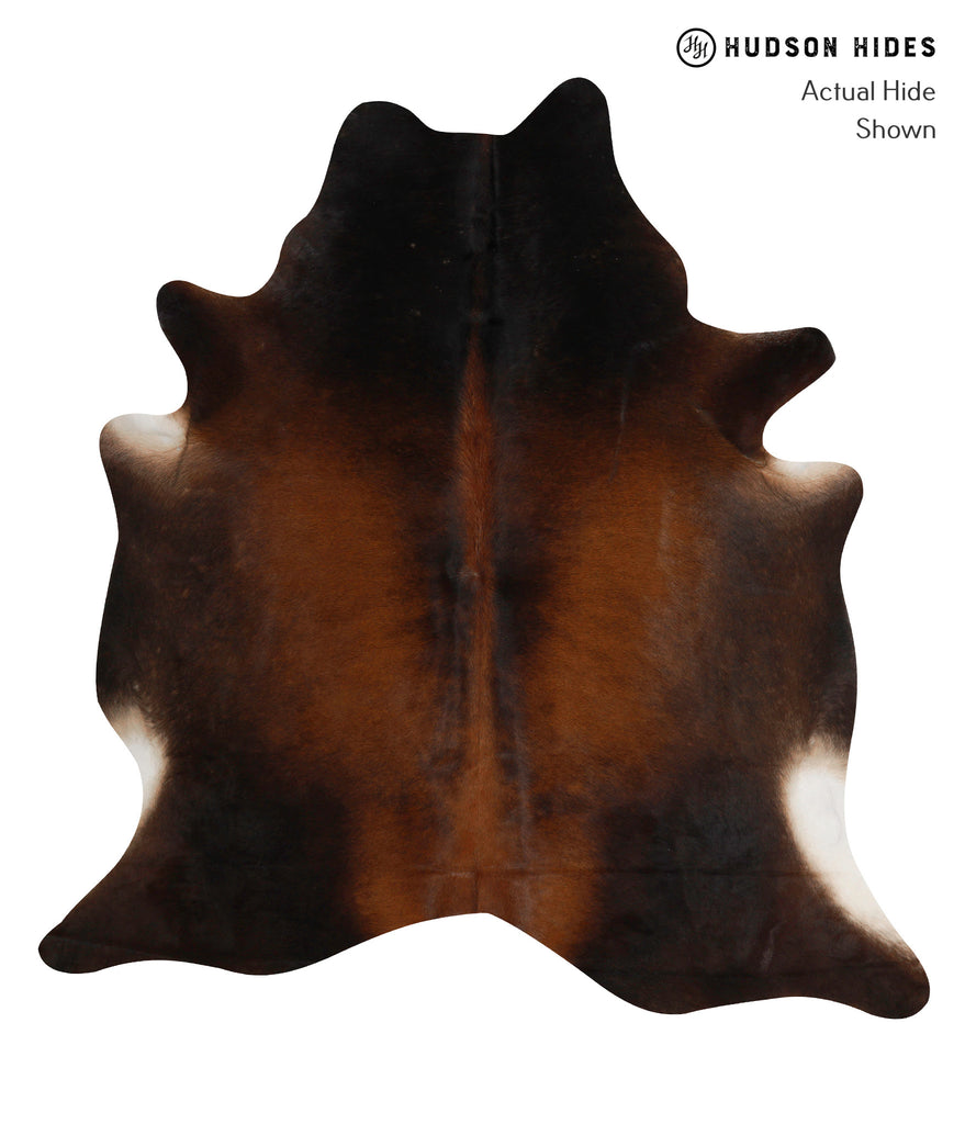 Chocolate XX-Large Brazilian Cowhide Rug 7'3"H x 6'11"W #81825 by Hudson Hides