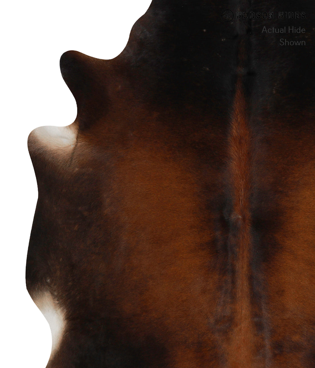 Chocolate XX-Large Brazilian Cowhide Rug 7'3"H x 6'11"W #81825 by Huds