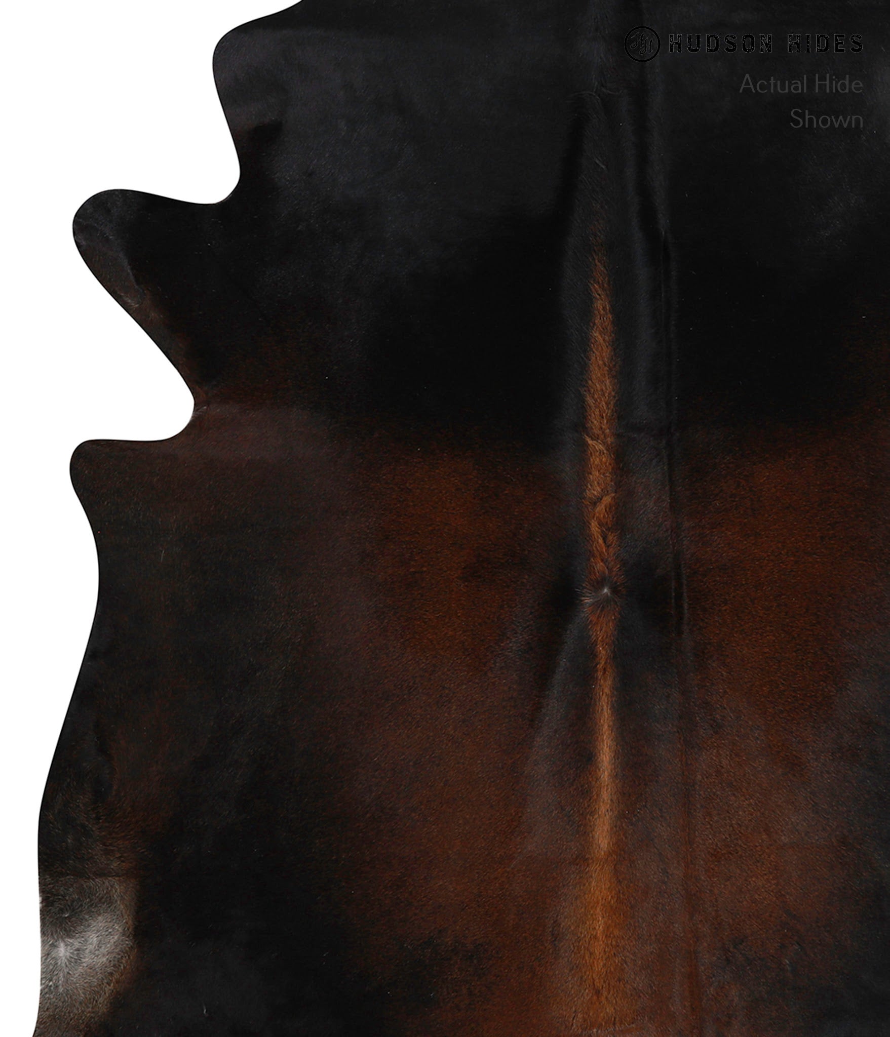 Chocolate Cowhide Rug #81979