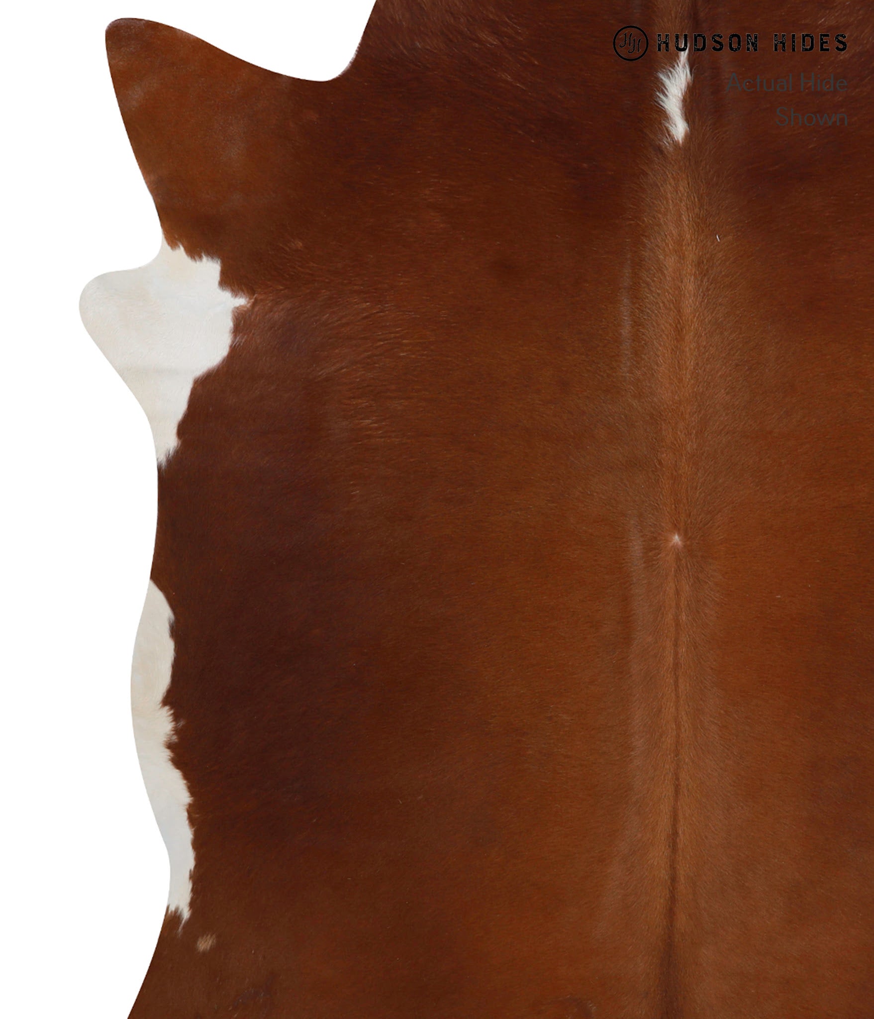 Brown and White Regular Cowhide Rug #82001
