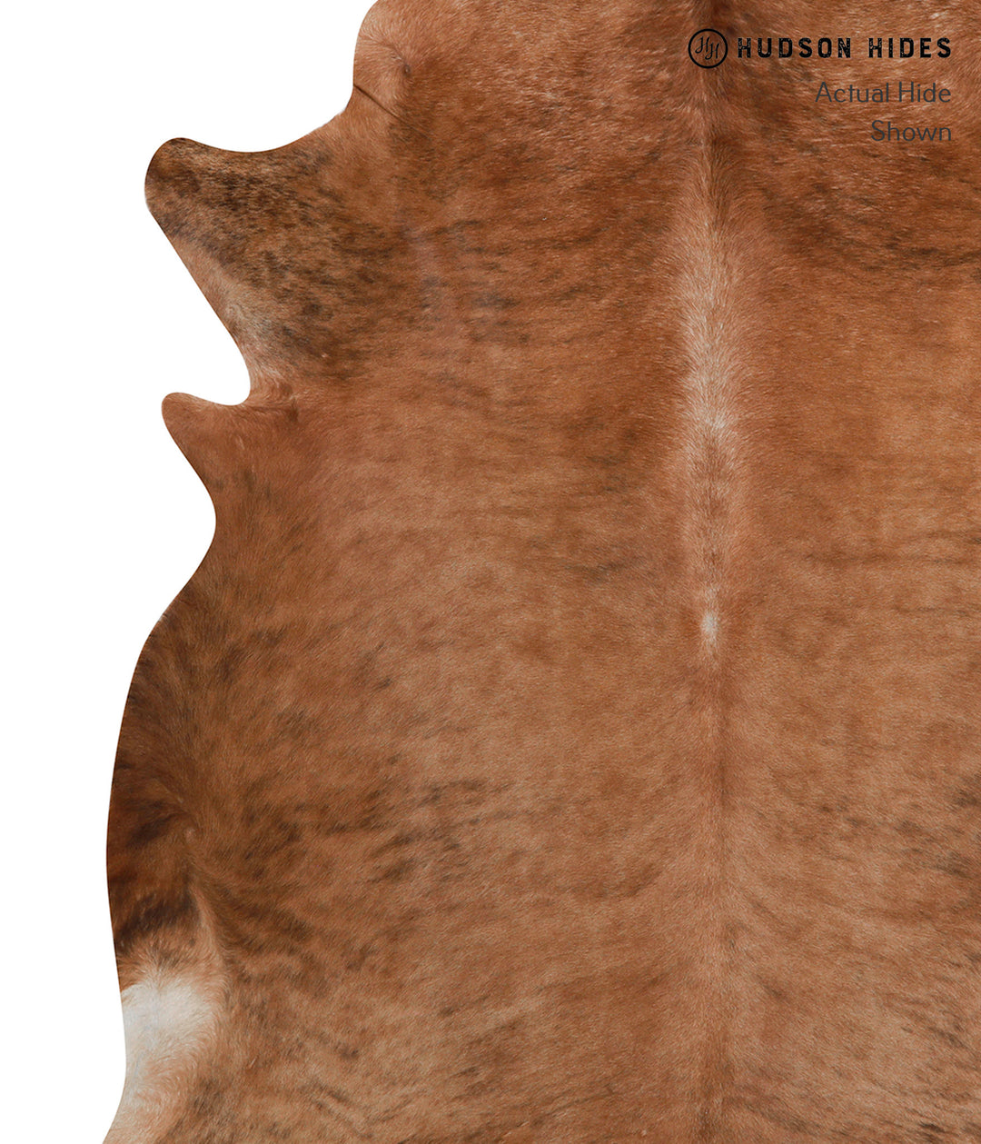 Medium Brindle X-Large Brazilian Cowhide Rug 7'3"H x 6'7"W #82040 by H