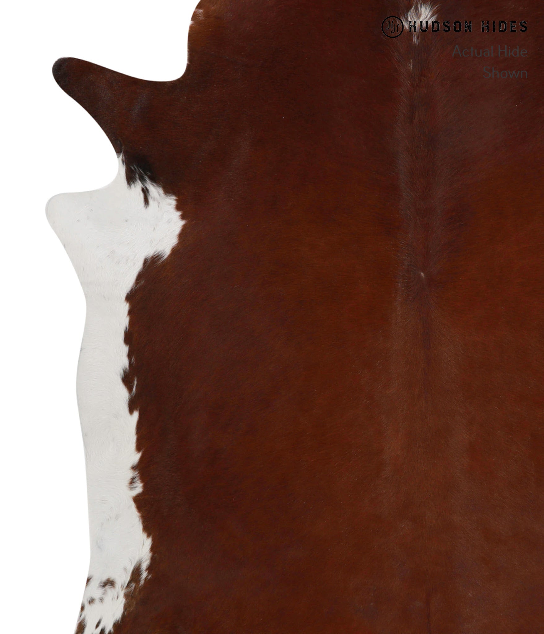 Brown and White Regular Cowhide Rug #82087