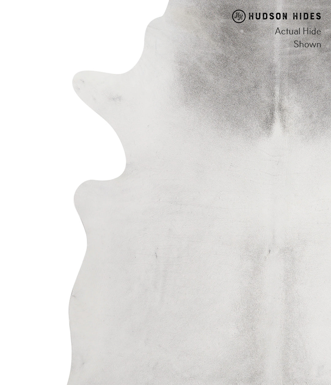 Medium Grey XX-Large Brazilian Cowhide Rug 7'8"H x 6'8"W #82088 by Hud