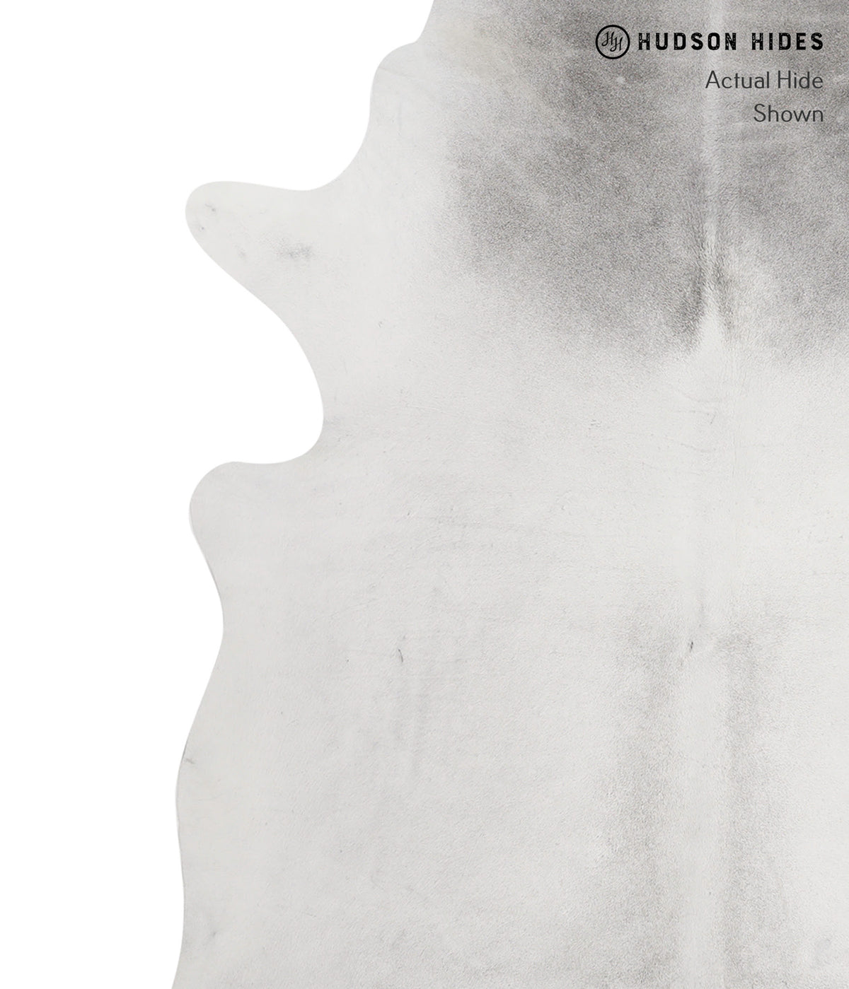 Medium Grey XX-Large Brazilian Cowhide Rug 7'8"H x 6'8"W #82088 by Hudson Hides