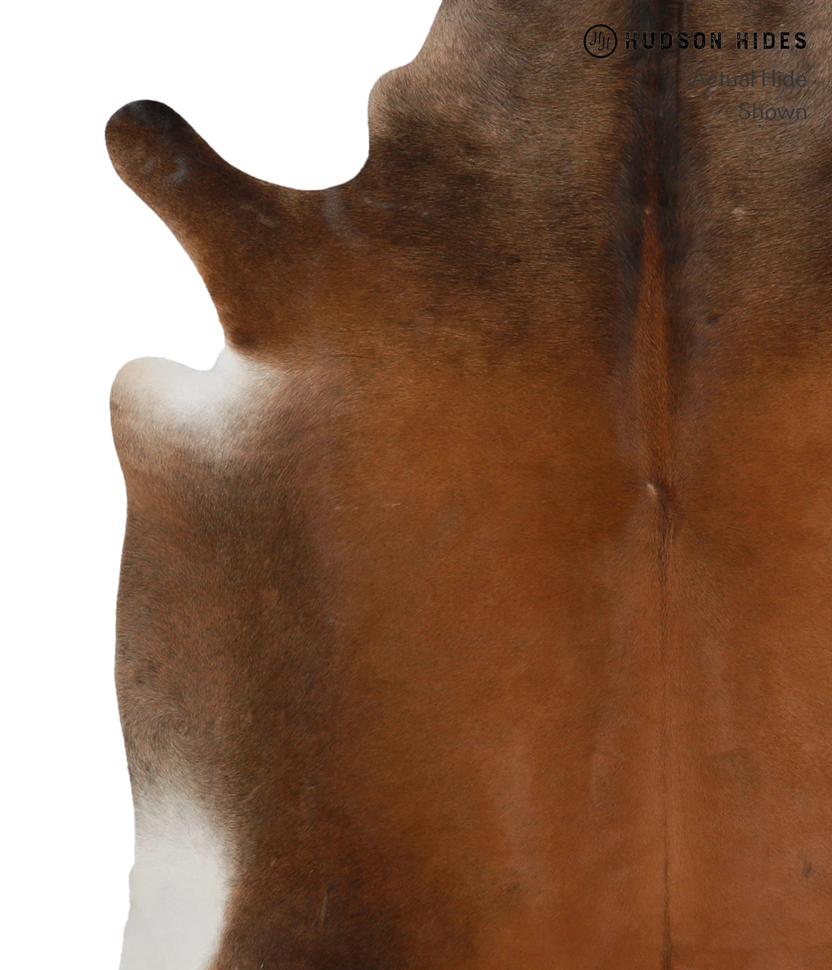 Chocolate X-Large Brazilian Cowhide Rug 7'0"H x 6'11"W #82089 by Hudson Hides