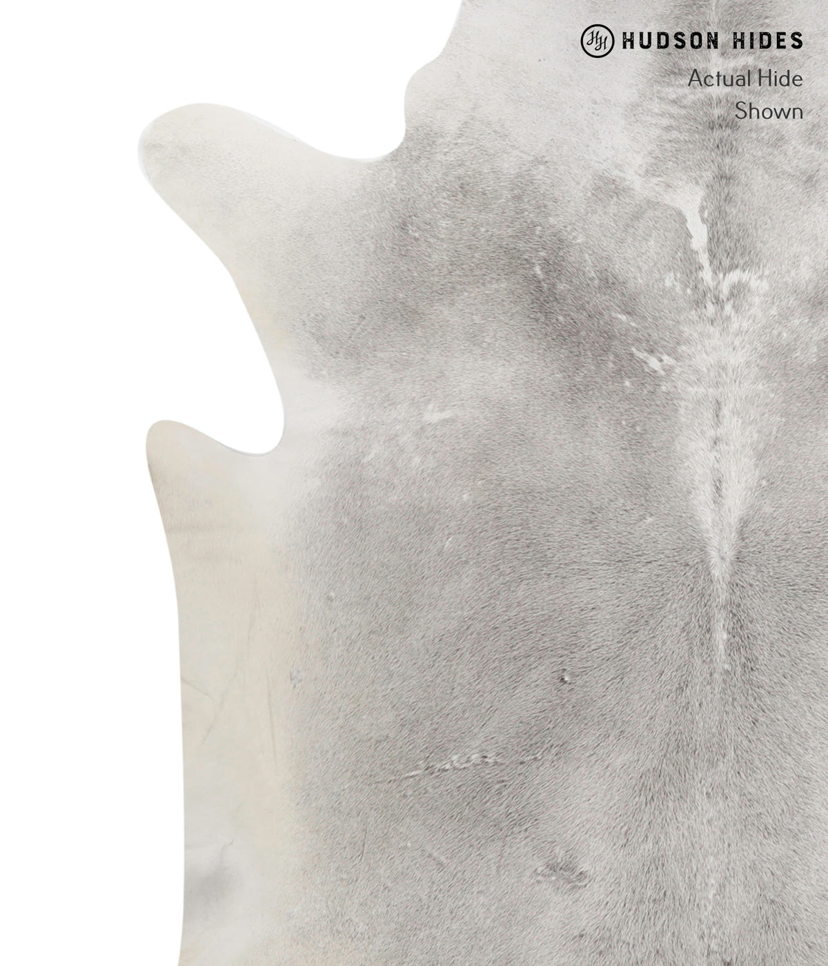 Medium Grey XX-Large Brazilian Cowhide Rug 7'8"H x 7'6"W #82139 by Hudson Hides