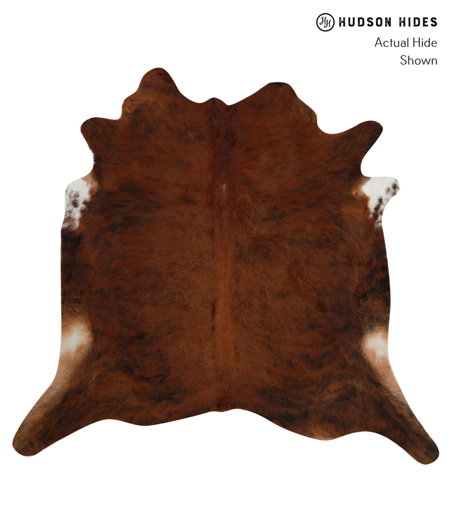Medium Brindle XX-Large Brazilian Cowhide Rug 6'11"H x 7'4"W #82141 by Hudson Hides