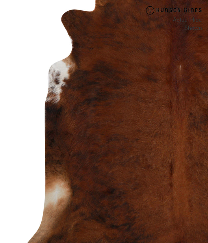 Medium Brindle XX-Large Brazilian Cowhide Rug 6'11"H x 7'4"W #82141 by Hudson Hides