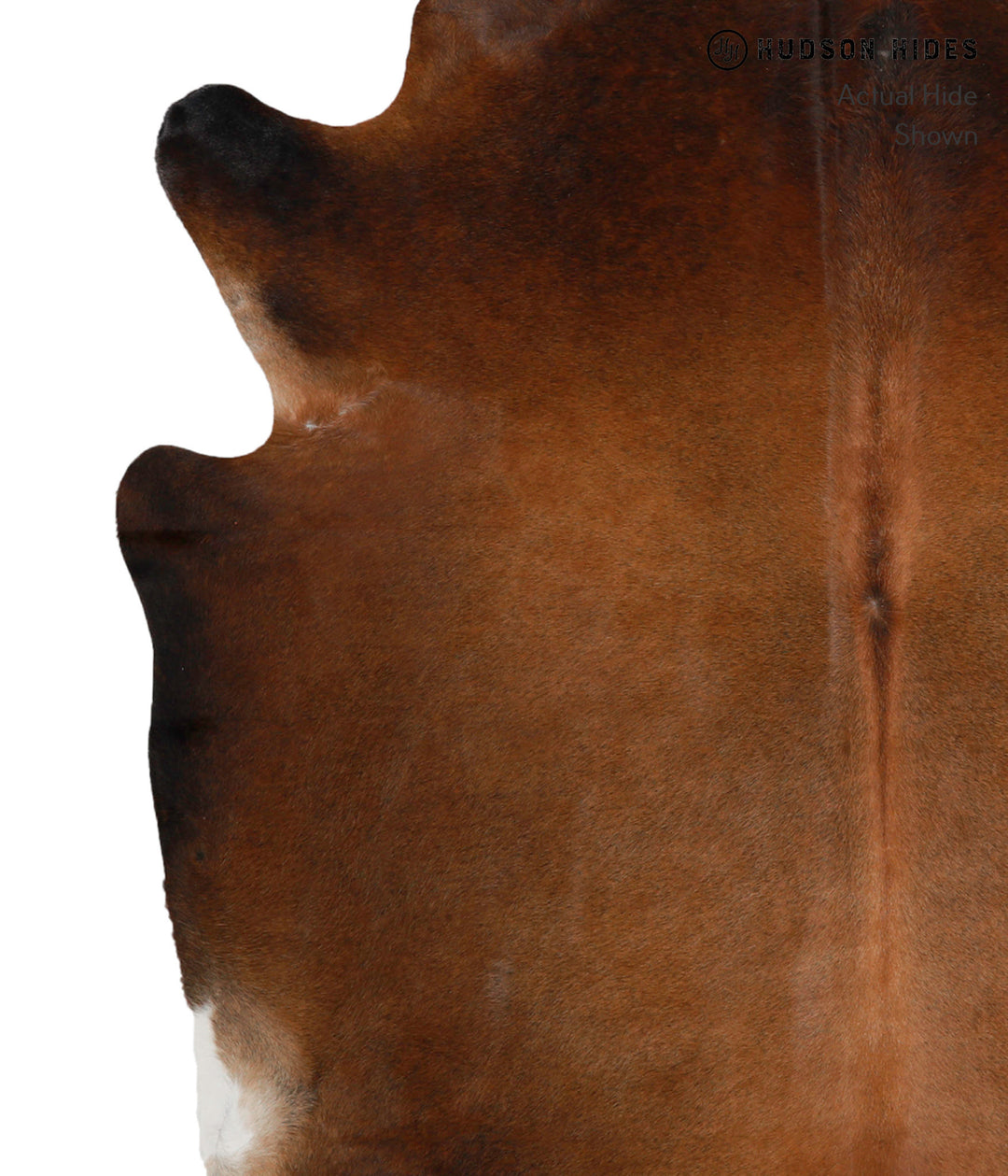 Chocolate X-Large Brazilian Cowhide Rug 6'9"H x 6'2"W #82158 by Hudson