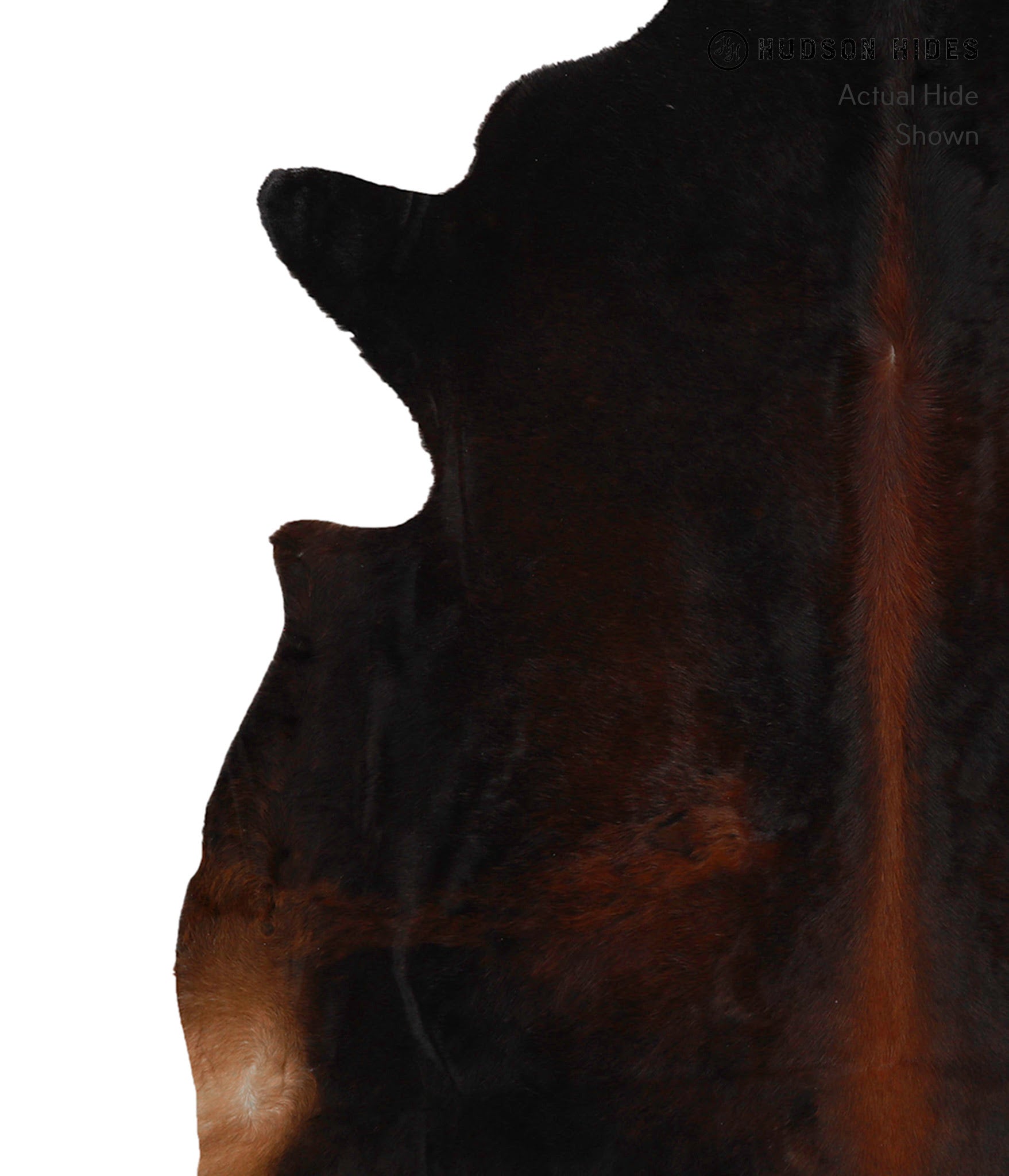 Chocolate Cowhide Rug #82159