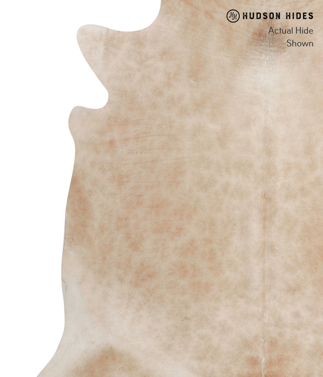 Beige X-Large Brazilian Cowhide Rug 6'11"H x 6'8"W #82160 by Hudson Hi