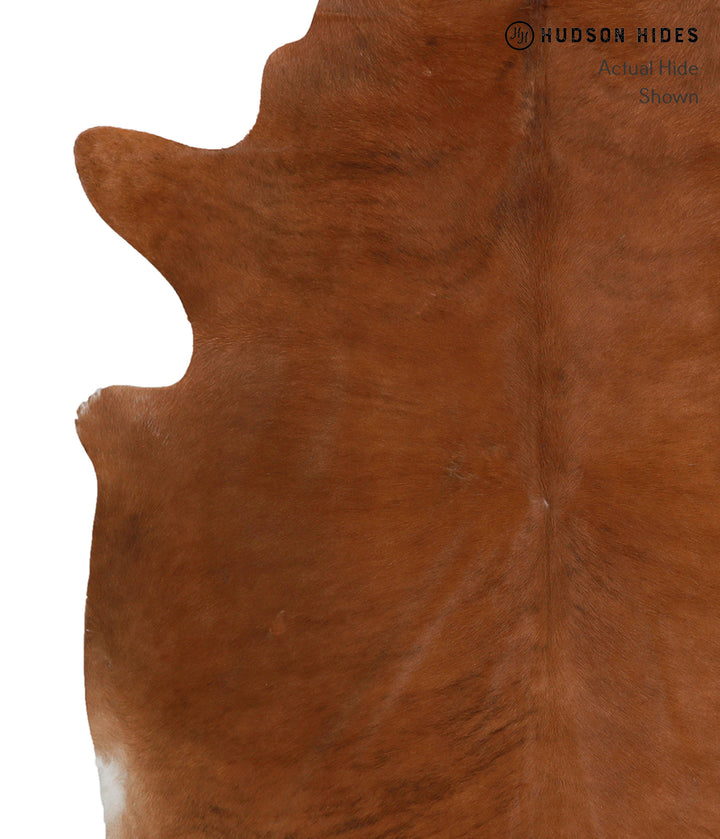Medium Brindle X-Large Brazilian Cowhide Rug 7'3"H x 6'6"W #82162 by Hudson Hides