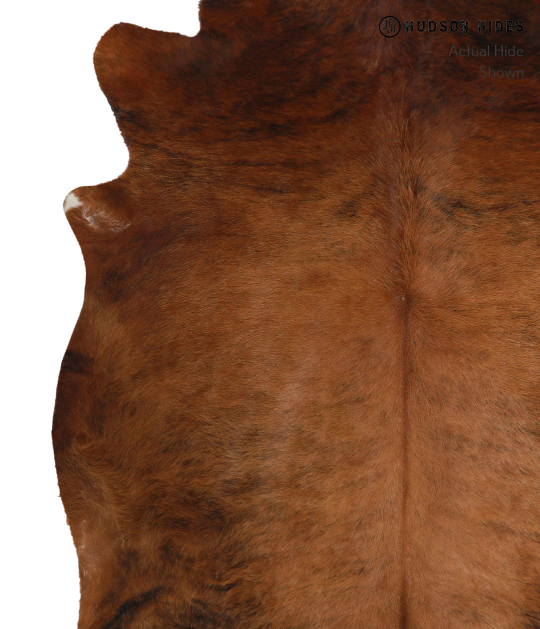 Medium Brindle X-Large Brazilian Cowhide Rug 7'0"H x 6'4"W #82196 by H