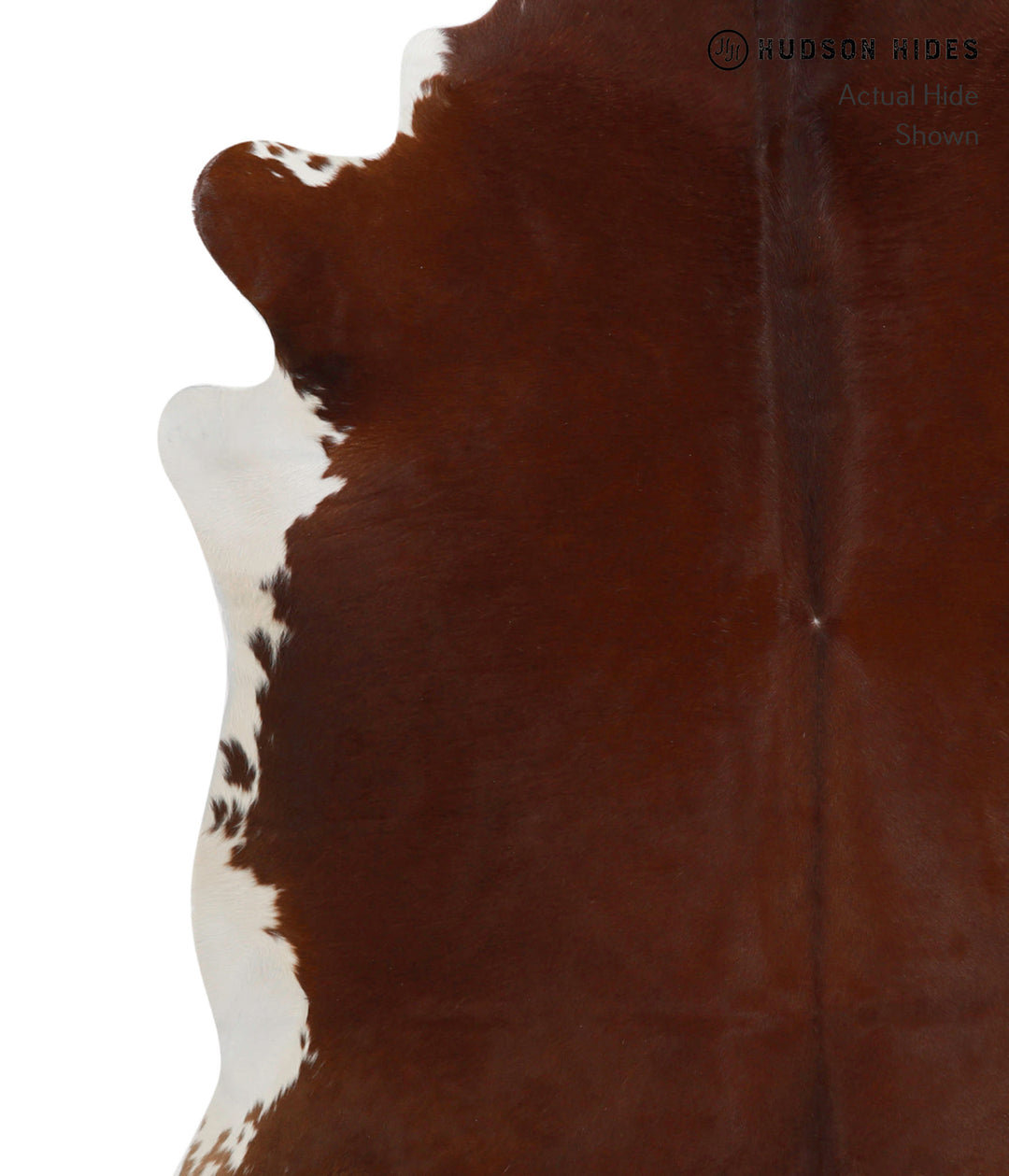 Brown and White Regular X-Large Brazilian Cowhide Rug 7'0"H x 6'5"W #8