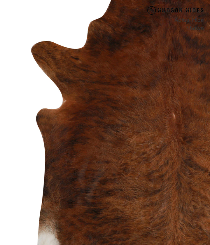 Medium Brindle XX-Large Brazilian Cowhide Rug 7'3"H x 6'10"W #82464 by Hudson Hides