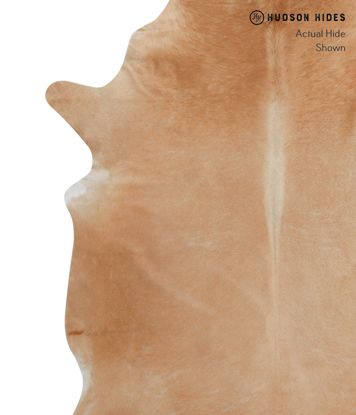 Beige XX-Large Brazilian Cowhide Rug 7'5"H x 7'2"W #82568 by Hudson Hides