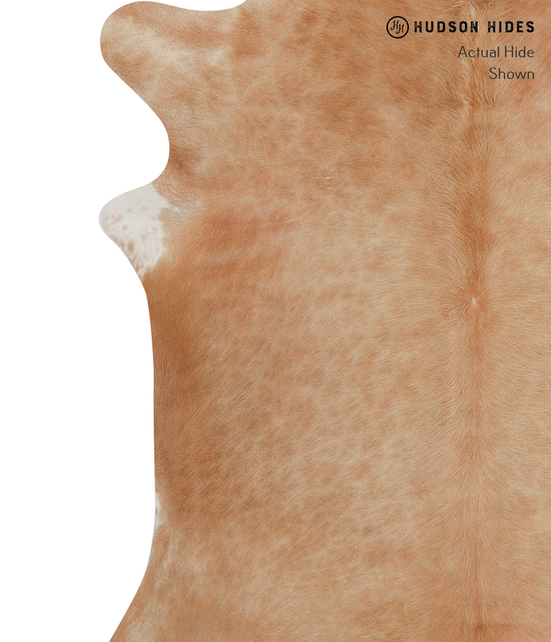 Beige XX-Large Brazilian Cowhide Rug 7'9"H x 7'6"W #82647 by Hudson Hi