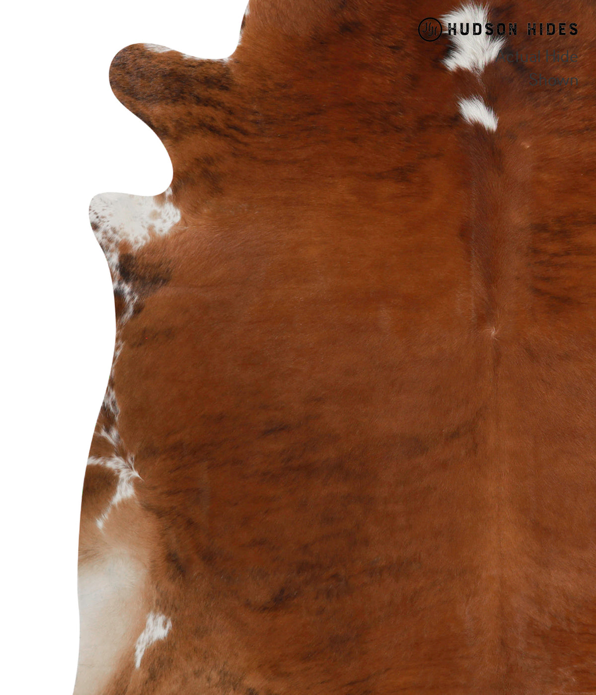 Medium Brindle X-Large Brazilian Cowhide Rug 6'8"H x 6'8"W #82698 by Hudson Hides