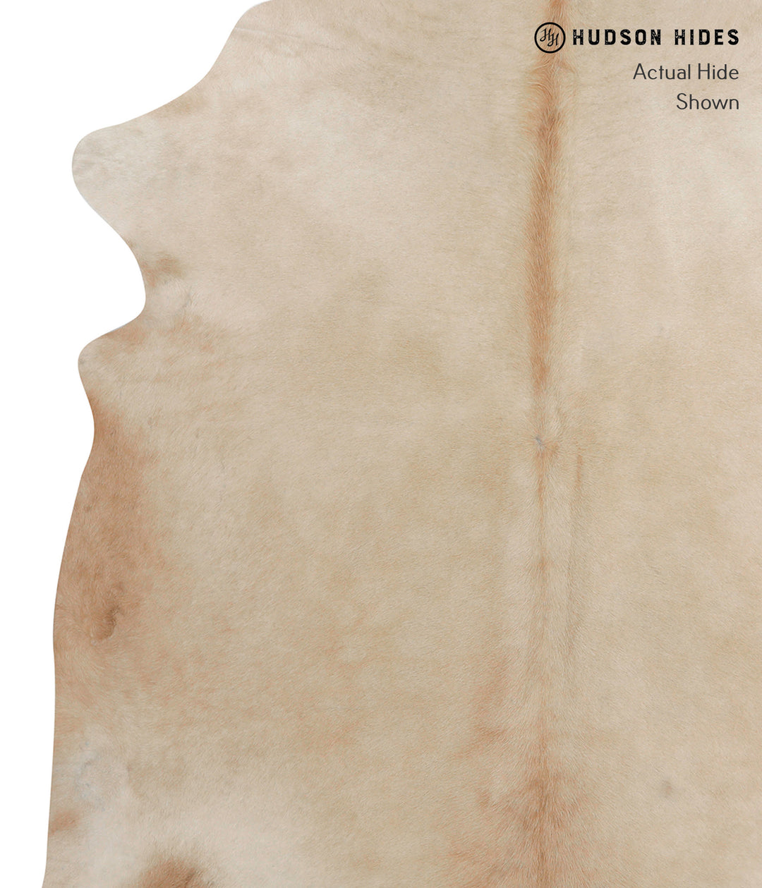 Beige XX-Large Brazilian Cowhide Rug 7'4"H x 6'10"W #82744 by Hudson H
