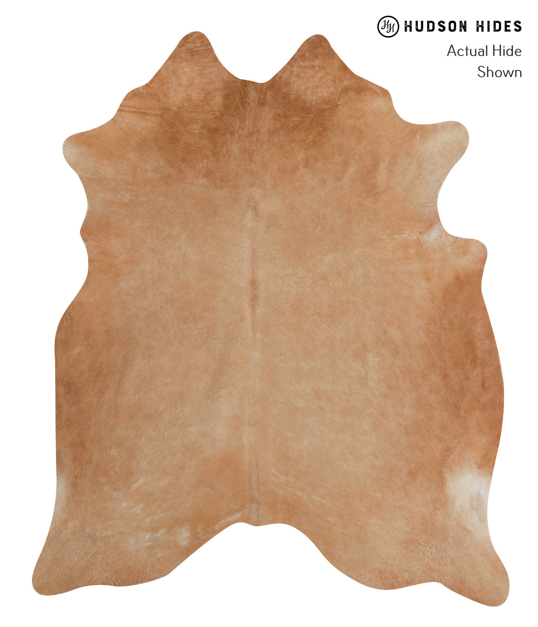 Solid Brown Cowhide Rug #82745