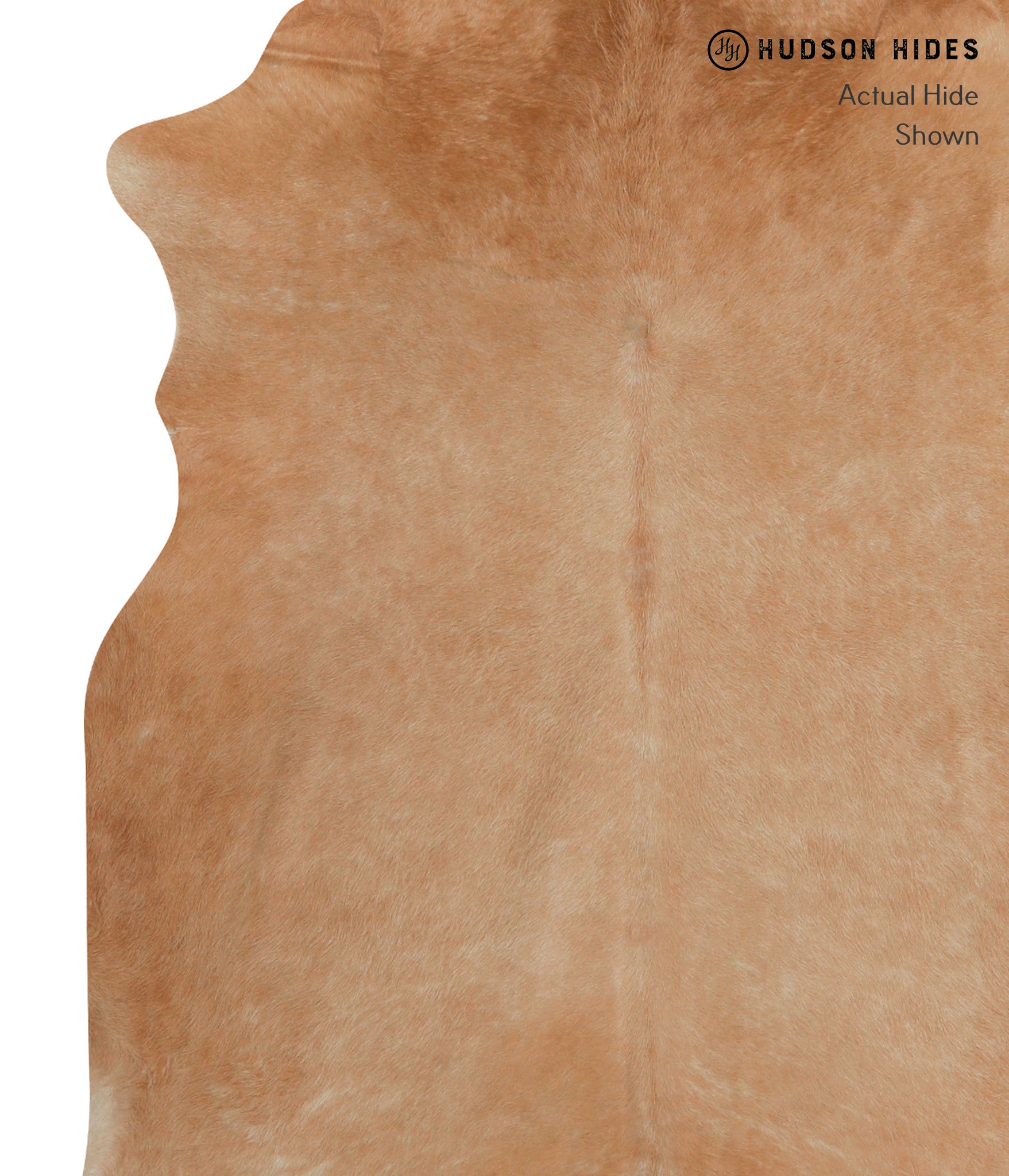 Solid Brown Cowhide Rug #82745