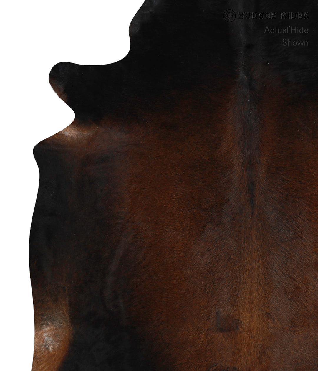 Chocolate XX-Large Brazilian Cowhide Rug 7'6"H x 7'3"W #82785 by Hudso