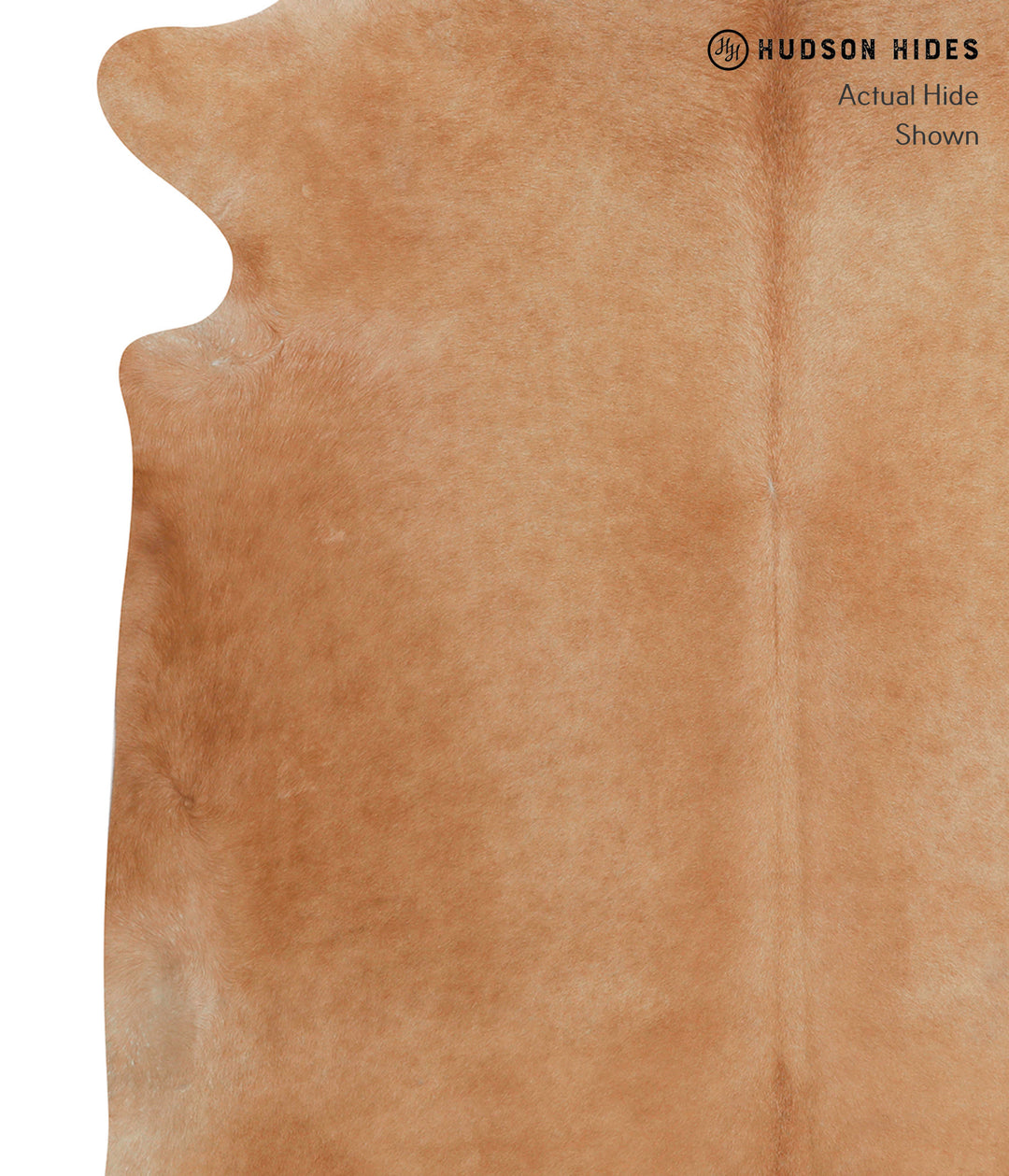 Solid Brown X-Large Brazilian Cowhide Rug 7'5"H x 6'5"W #82822 by Huds