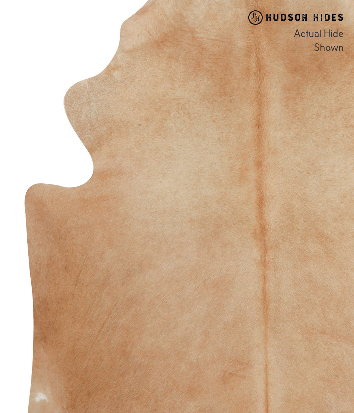 Beige X-Large Brazilian Cowhide Rug 7'4"H x 6'8"W #82868 by Hudson Hides