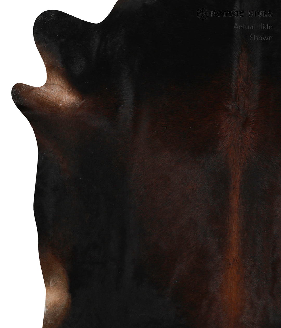 Chocolate XX-Large Brazilian Cowhide Rug 7'1"H x 7'0"W #82906 by Hudso