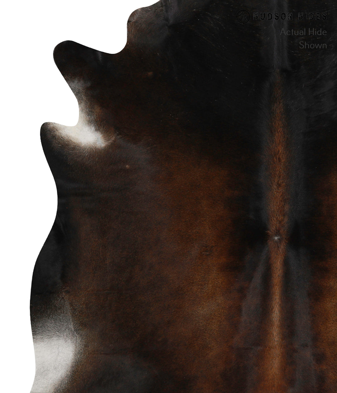 Chocolate XX-Large Brazilian Cowhide Rug 7'0"H x 7'3"W #82929 by Hudso