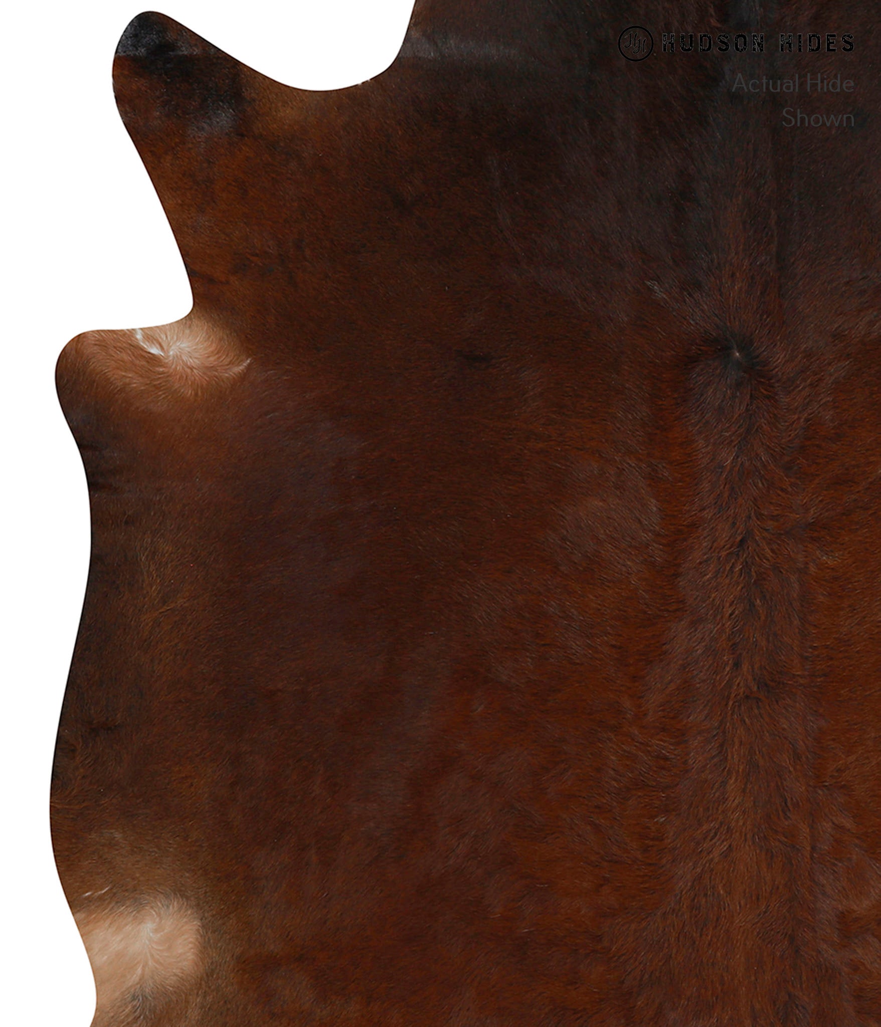 Chocolate Cowhide Rug #83017