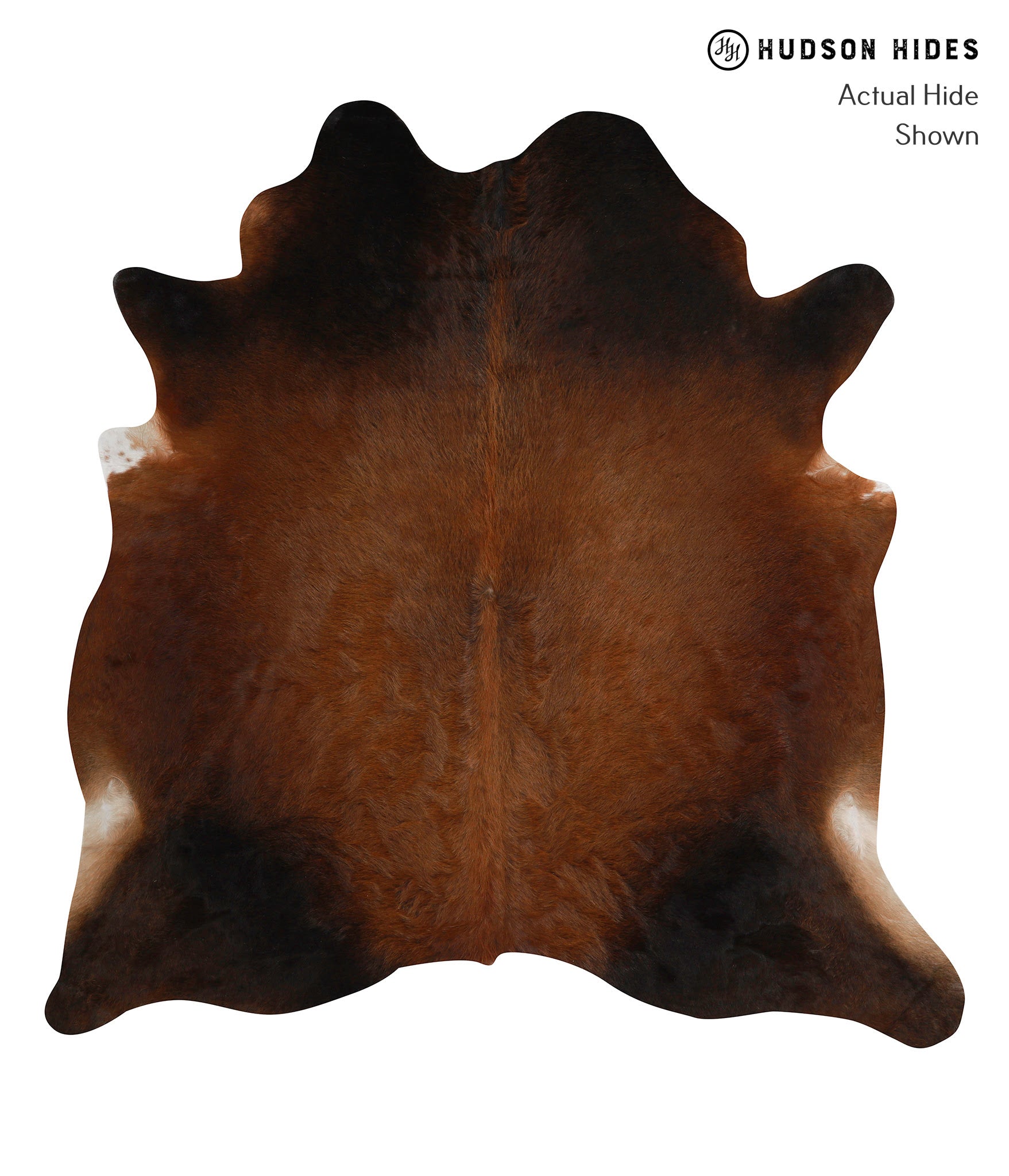 Chocolate Cowhide Rug #83019