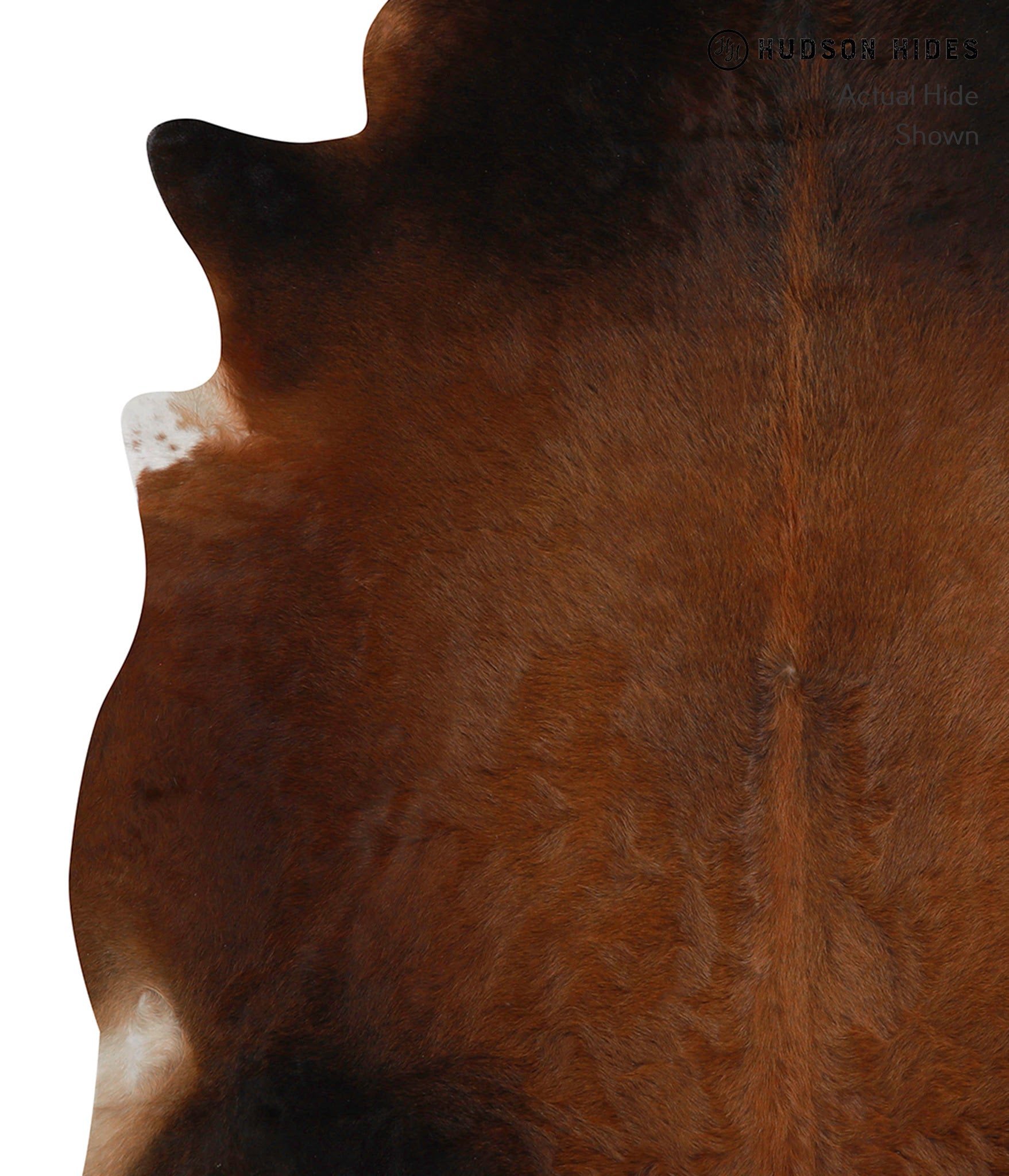 Chocolate Cowhide Rug #83019