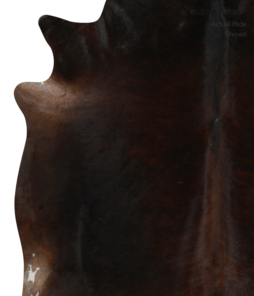 Chocolate X-Large Brazilian Cowhide Rug 6'9"H x 7'2"W #83031 by Hudson