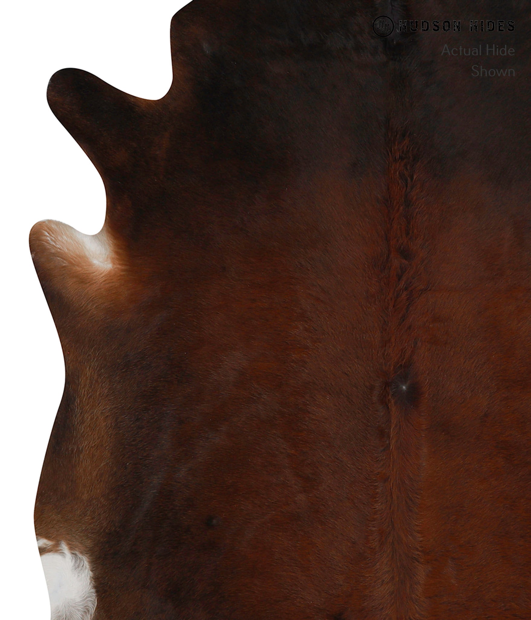 Chocolate Cowhide Rug #83033