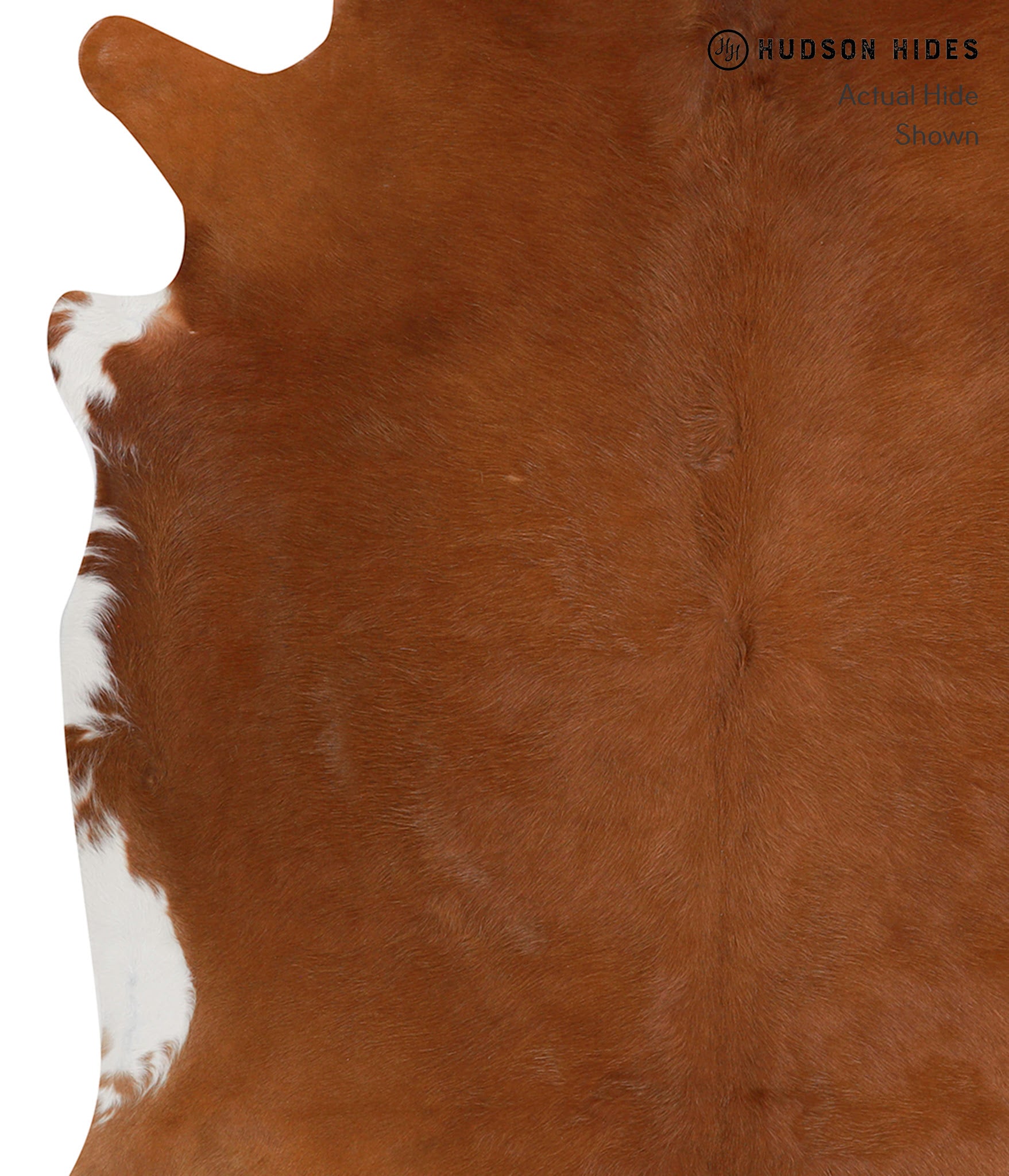 Solid Brown Cowhide Rug #83034