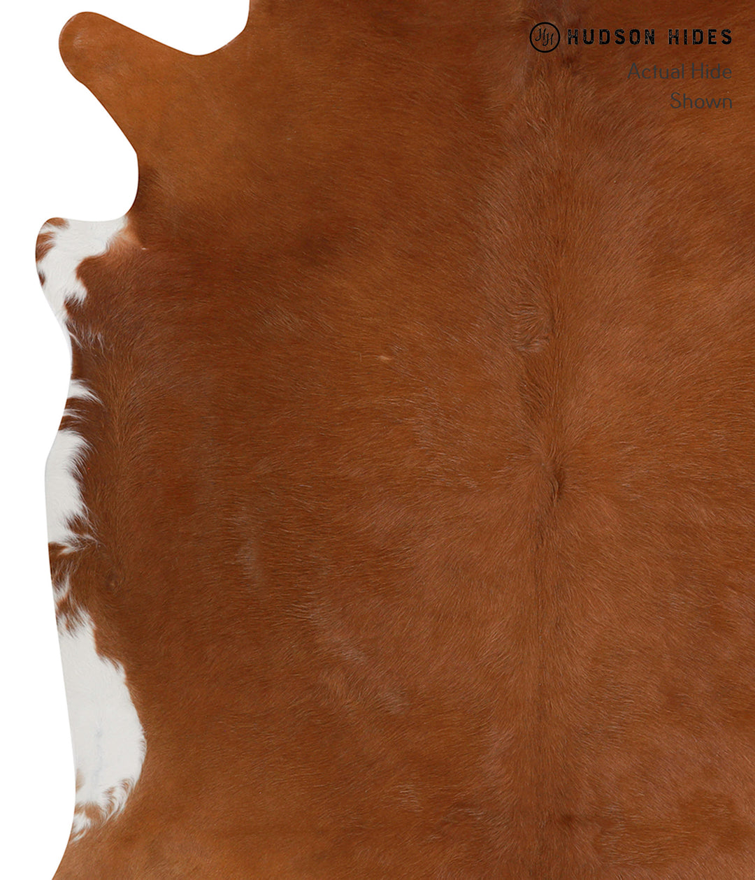 Solid Brown XX-Large Brazilian Cowhide Rug 7'1"H x 7'5"W #83034 by Hud