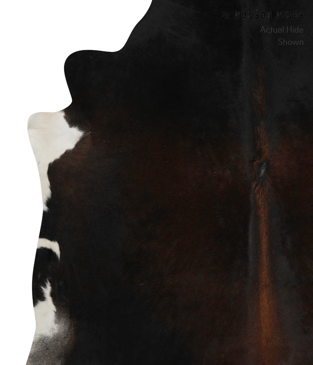 Chocolate XX-Large Brazilian Cowhide Rug 7'2"H x 7'4"W #83045 by Hudso