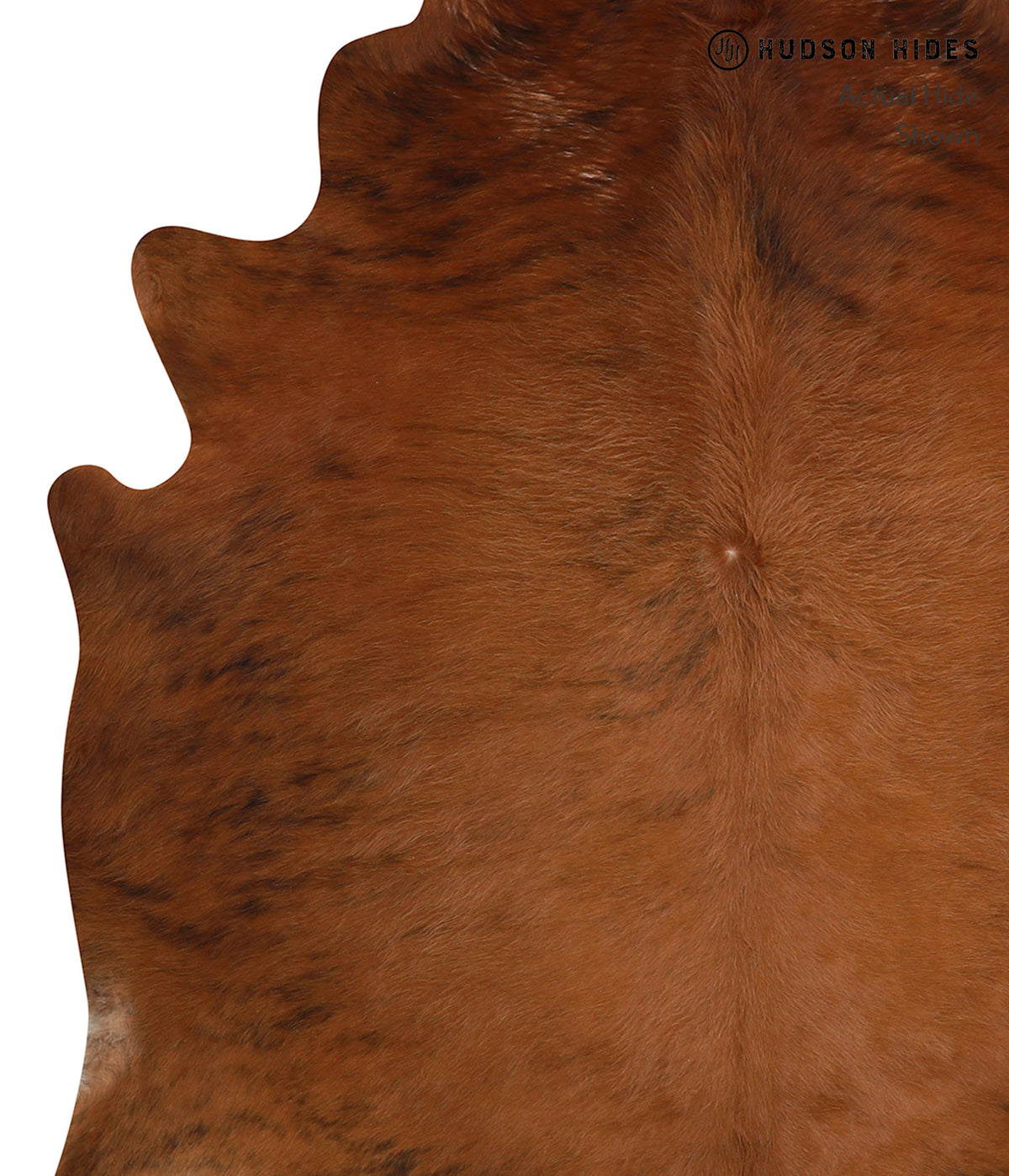 Medium Brindle X-Large Brazilian Cowhide Rug 6'9"H x 6'11"W #83047 by Hudson Hides