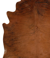 Medium Brindle X-Large Brazilian Cowhide Rug 6'9"H x 6'11"W #83047 by Hudson Hides